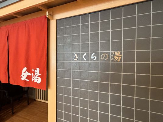 和風の落ち着いた入口