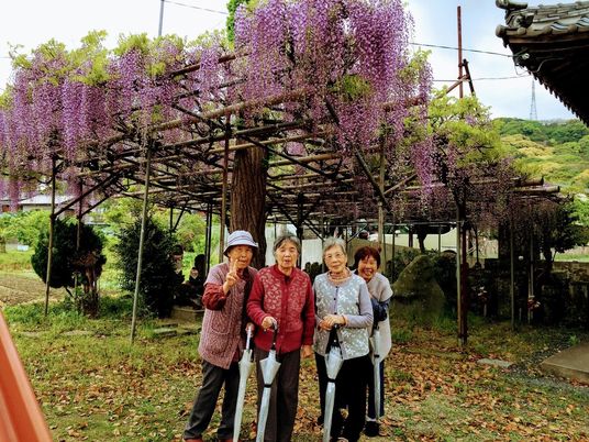花の咲く庭