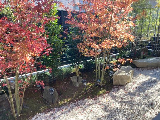 紅葉が美しい庭