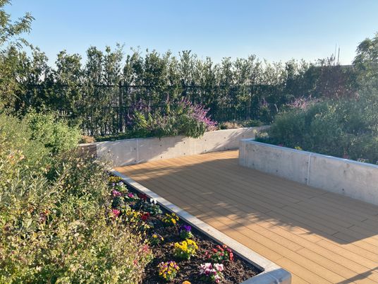 自然豊かな中庭