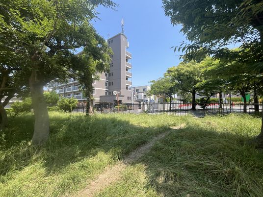 緑豊かな中庭