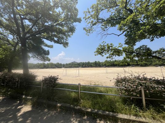 広々とした中庭の光景