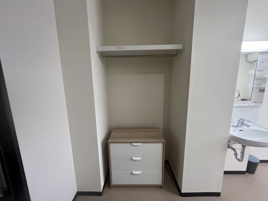収納と洗面台の一角