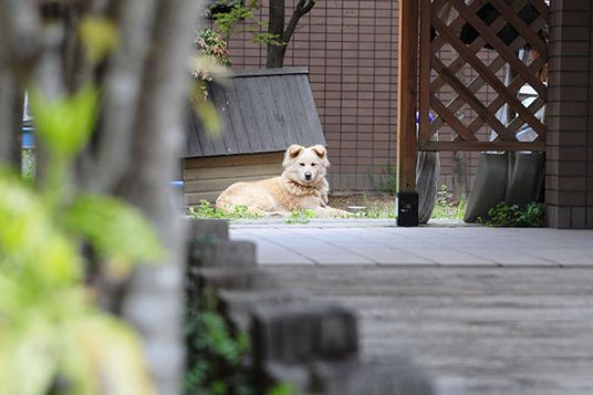 静かな中庭