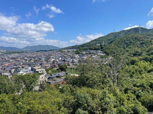 緑豊かな外観