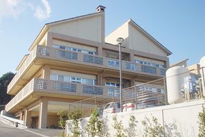 開放的な外観