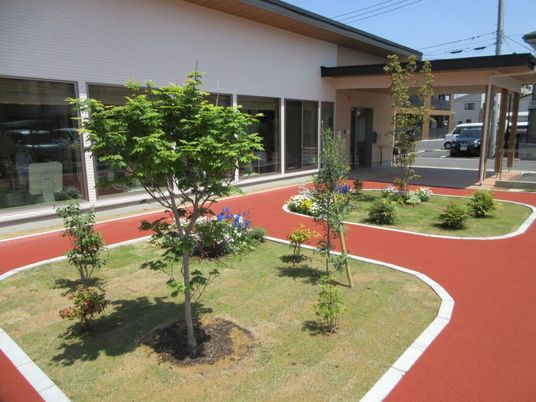 中庭の植栽  