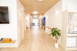 白い壁と木目調のフロア