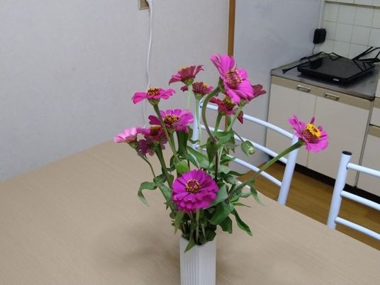 花のある居室  
