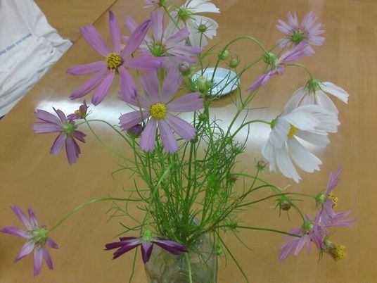 コスモスの花瓶テーブル  