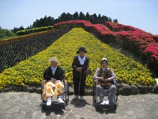 花畑と来訪者