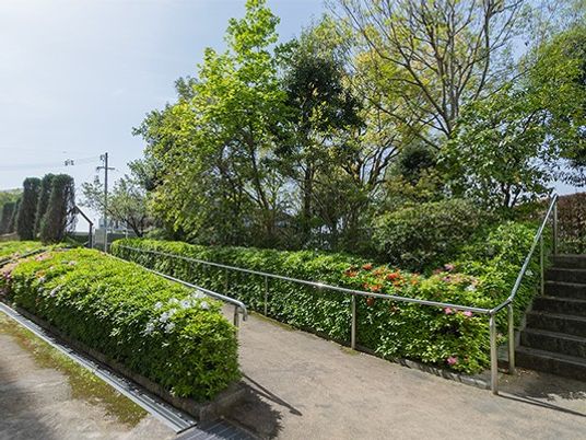緑の多い庭園  