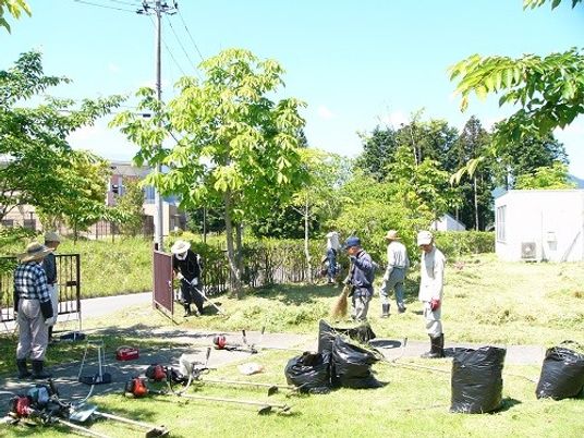 緑豊かな庭