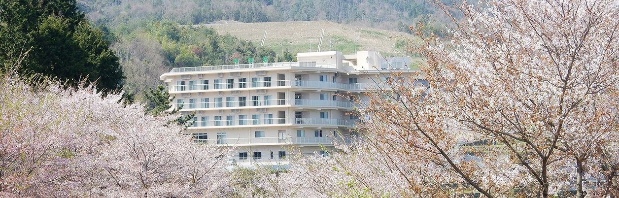 桜と建物の外観