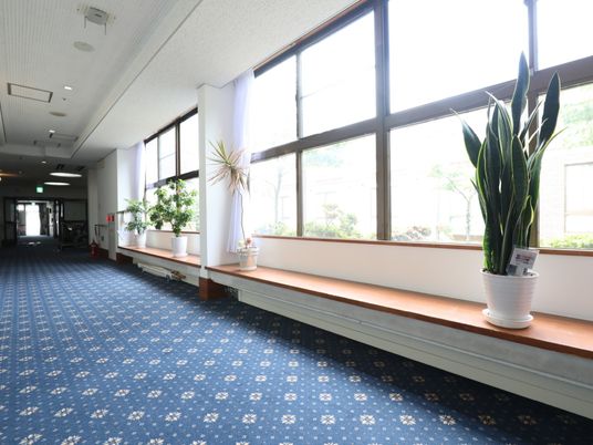 日差し入る廊下の植物
