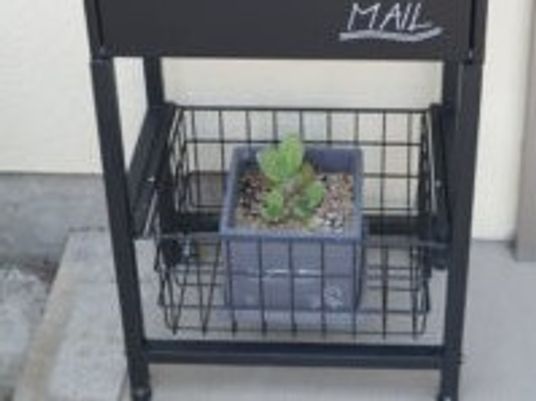 鉢植えのある玄関先  