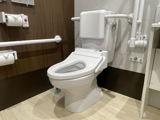 手すり付きの清潔なトイレ