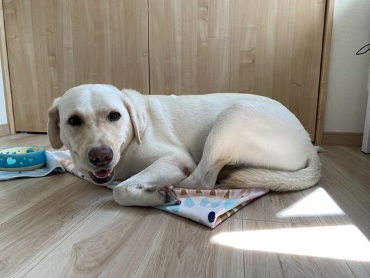 ゆったりとした癒しの空間