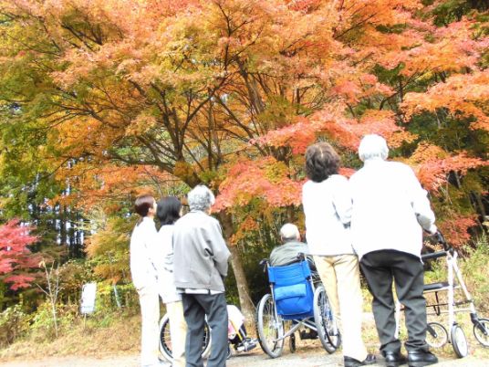 紅葉を眺める人々の庭