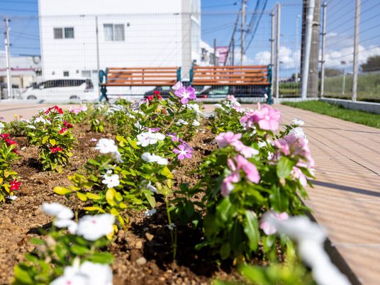 花が並ぶきれいな中庭