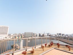 開放的な雰囲気の庭