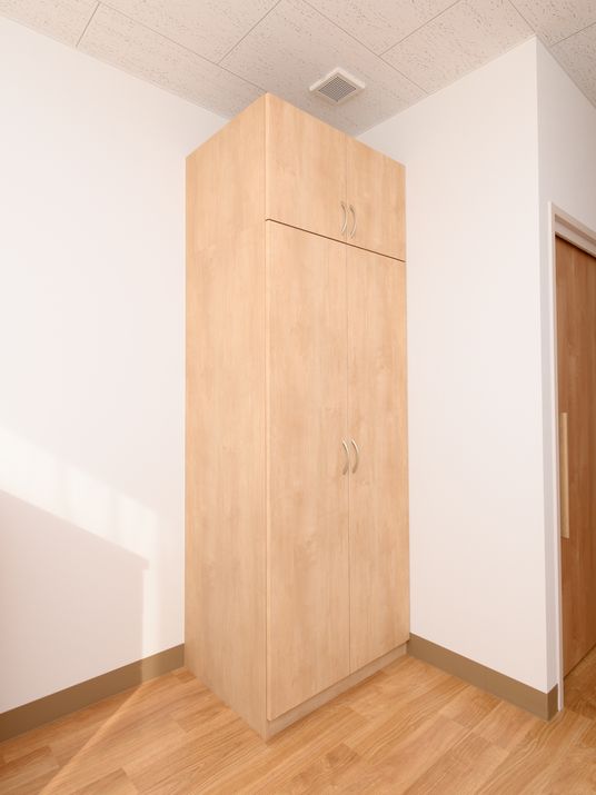 木製の収納がある居室