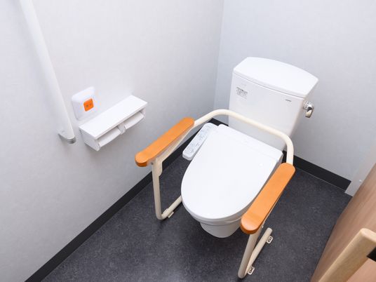 手すり付きの設備トイレ  