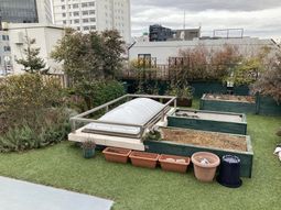 屋上庭園の風景