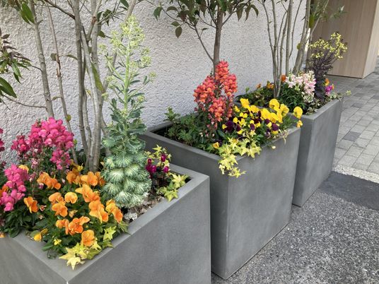 カラフルな花の植栽