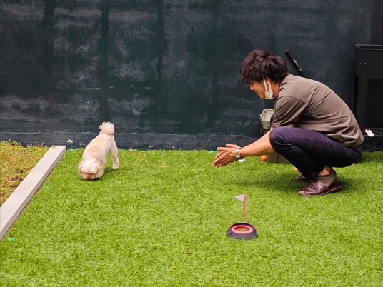 屋外で犬と接する職員の庭  