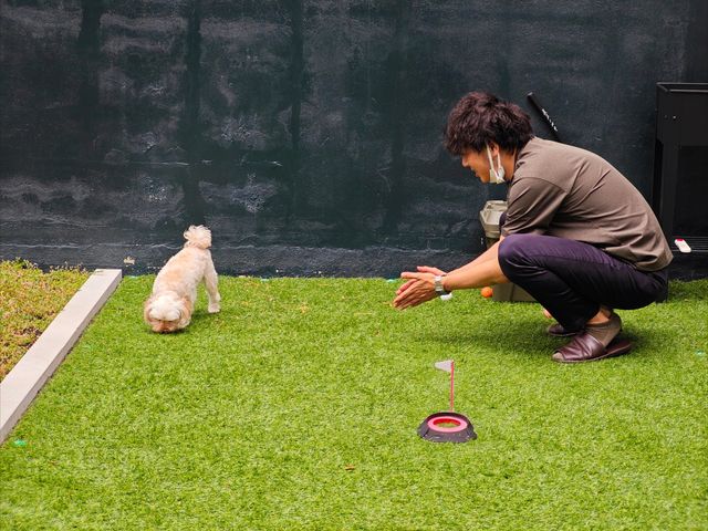 屋外で犬と接する職員の庭 庭   芝生の庭で、職員が犬と向き合っています。入居者の気分転換にも使えそうな、明るい屋外スペースです。