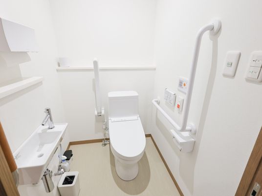 機能的なトイレ