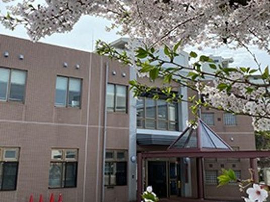桜と建物の外観  