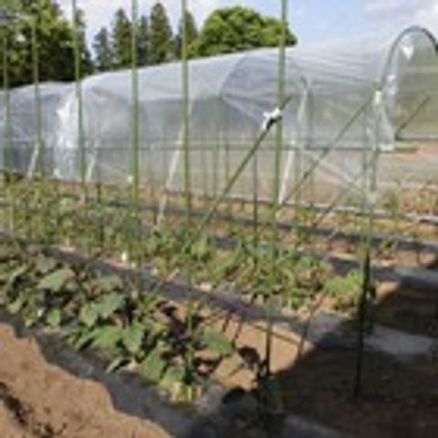 開放的な庭 庭 緑豊かな庭では、リラックスした雰囲気の中で自然と触れ合うことができるでしょう。