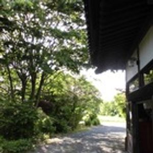 緑豊かな庭