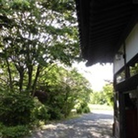 緑豊かな庭 庭 木々が茂る美しい庭は、自然を感じながらリラックスできる空間です。