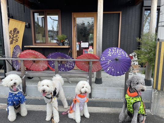 犬が並ぶ施設入口  