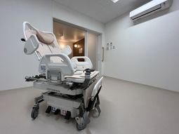 機能的な移動用ベッド  