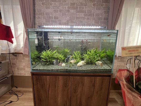 心安らぐ水槽展示