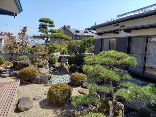 自然が感じられる庭