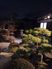 静かな夜の庭園