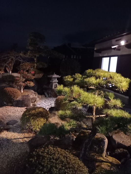 静かな夜の庭園