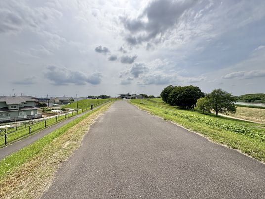 自然に囲まれた道