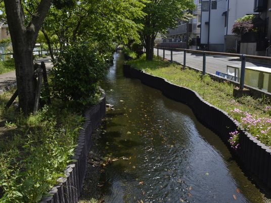 小川沿いの通路