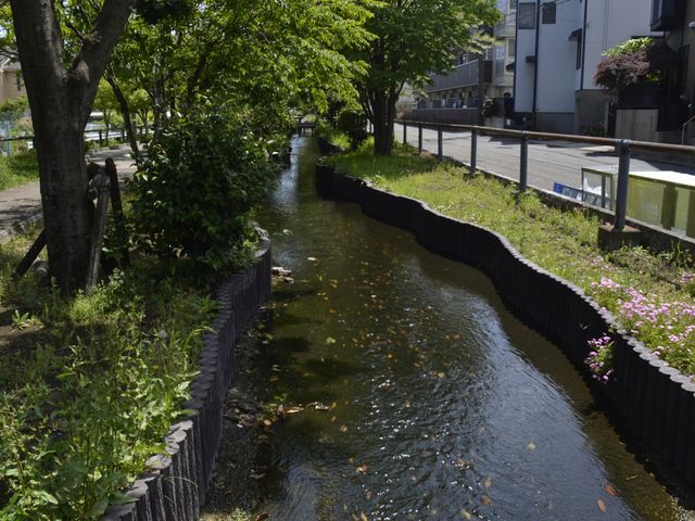 小川沿いの通路 庭 自然豊かな小道が続いております。散歩しながらリラックスするのに最適です。