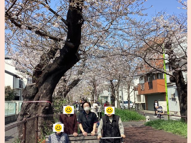 入居者様と呑川緑道にお花見にいきました