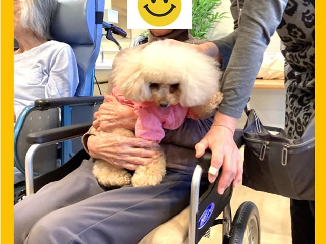 ドッグセラピーのご様子