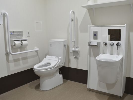 の作成：シンプルにトイレを説明します。