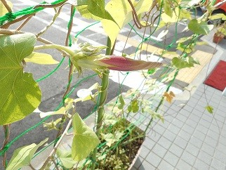 レッツ倶楽部 京都山科の外観