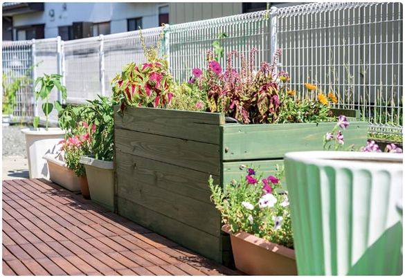 色鮮やかな花壇の庭